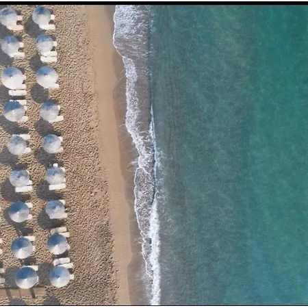 Sea Breeze Iv Skala Neon Epivaton